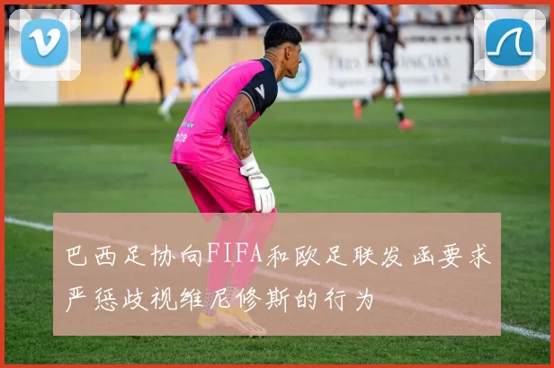 巴西足协向FIFA和欧足联发函要求严惩歧视维尼修斯的行为